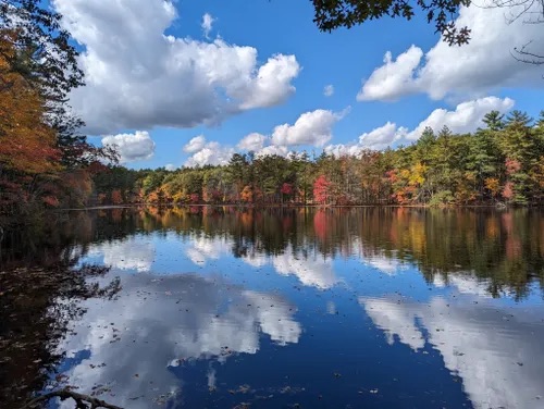 harold-parker state forest