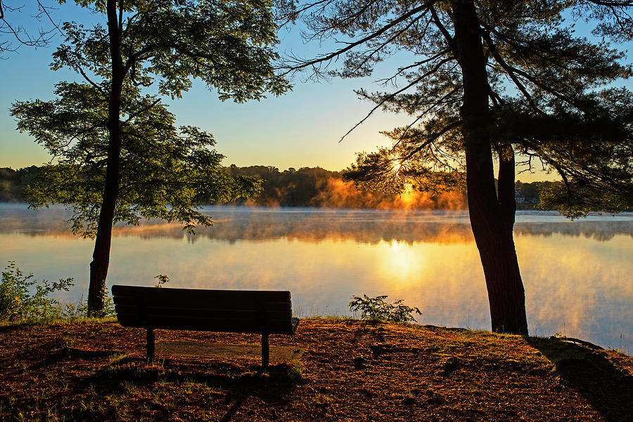 horn-pond