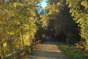 tri community greenway stoneham