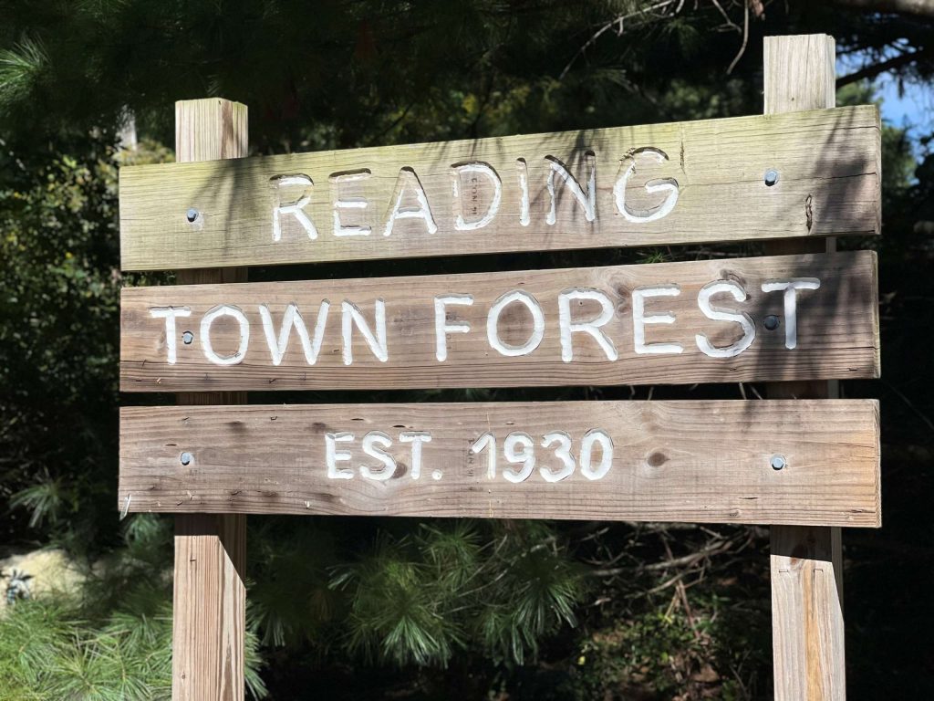 reading-town-forest